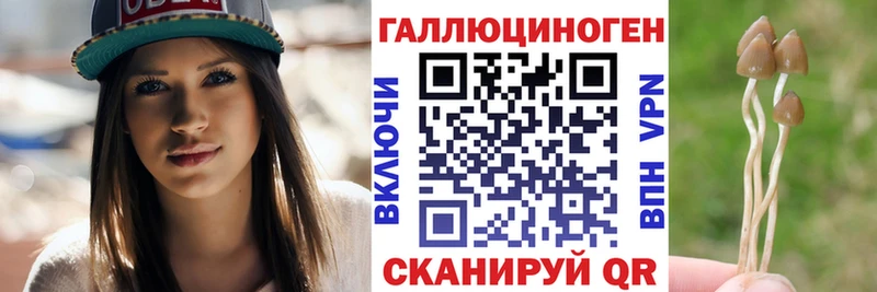 Псилоцибиновые грибы Cubensis Бирюч