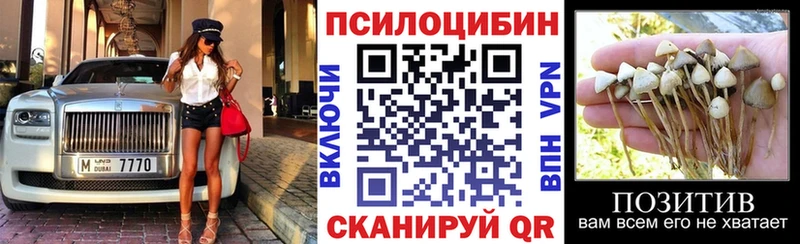 Купить закладки  Бирюч  Псилоцибиновые грибы прущие грибы 